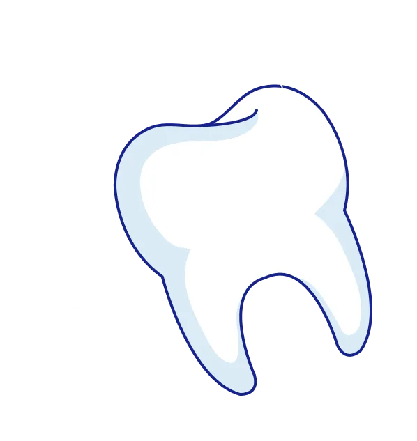 Clean and healthy tooth illustration.