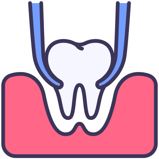 Simple Extractions